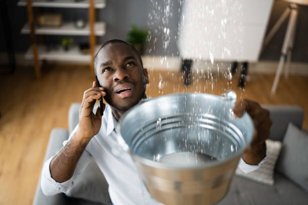 Best Flood restoration services  in Eminence, KY