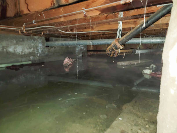 Eminence, KY Water damage restoration Company