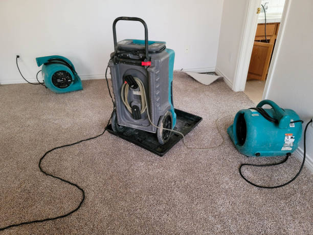 Best Flooded house restoration  in Eminence, KY