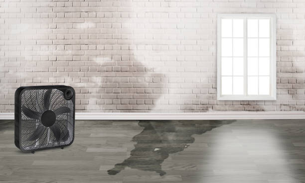 Best 24-hour water damage restoration  in Eminence, KY