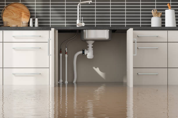 Water damage restoration experts in Eminence, KY