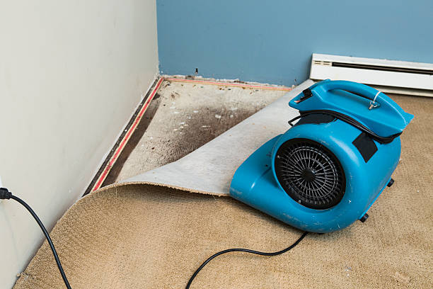 Best Flood damage cleanup  in Eminence, KY
